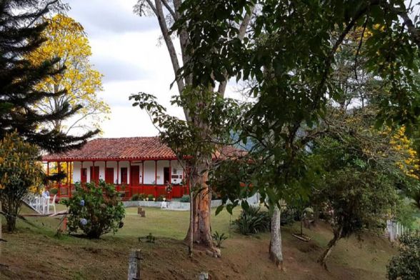 Coffee tour, Finca el Ocaso - Salento 6